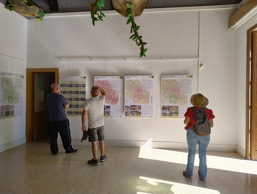 Imatge de l'exposició en visitants
